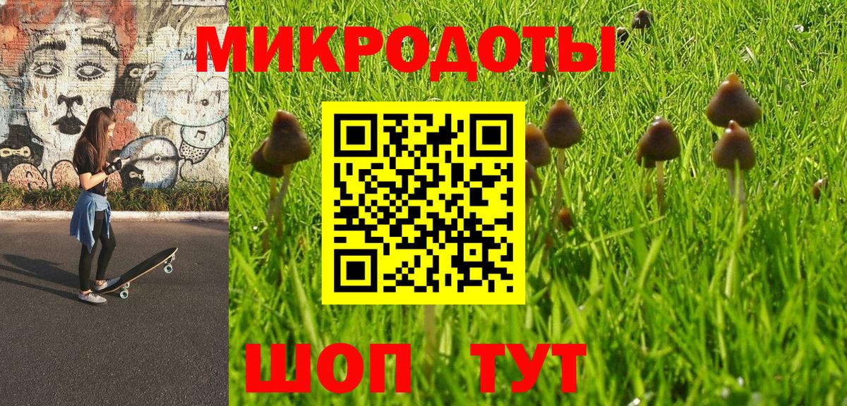 Галлюциногенные грибы Cubensis  Вход с VPN  Кострома 