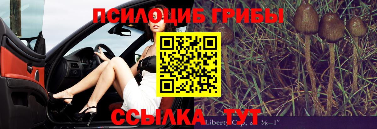 Галлюциногенные грибы GOLDEN TEACHER Кострома